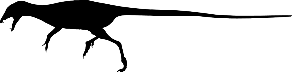Silhouette Autres ornithischiens (illustration non disponible)