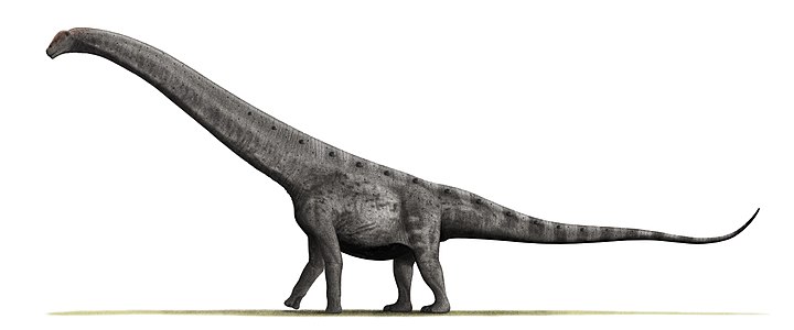 Argentinosaure