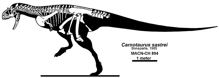 Carnotaure