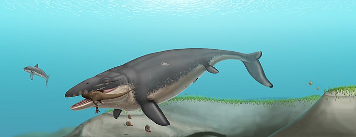 Mosasaure — Reptiles marins, ~17 m
