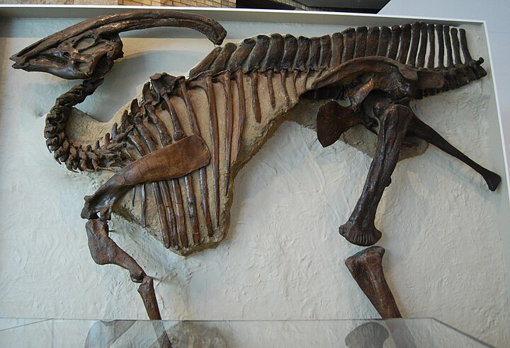 Parasaurolophus