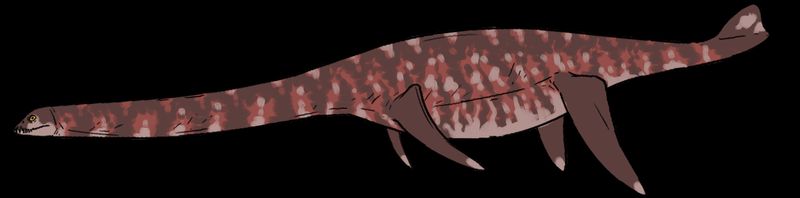 Abyssosaurus — Reptiles marins