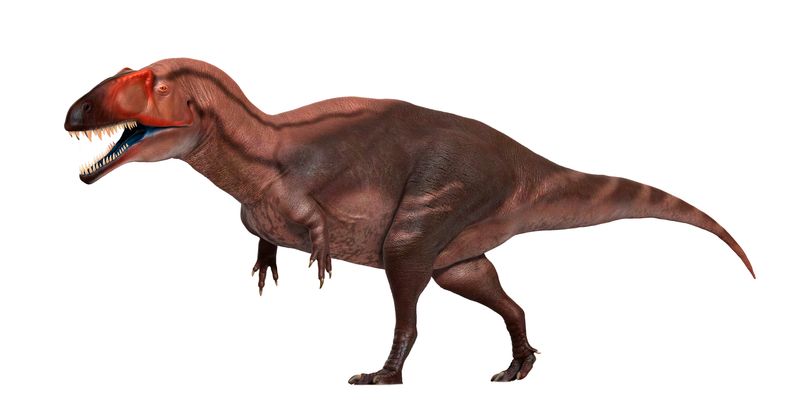 Acrocanthosaurus — Théropodes