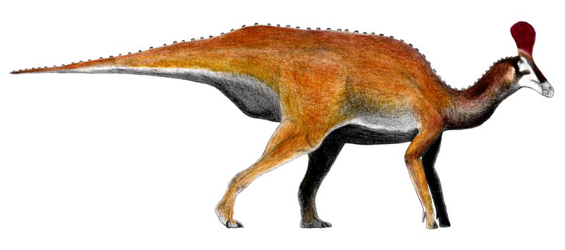 Adynomosaurus — Autres ornithischiens