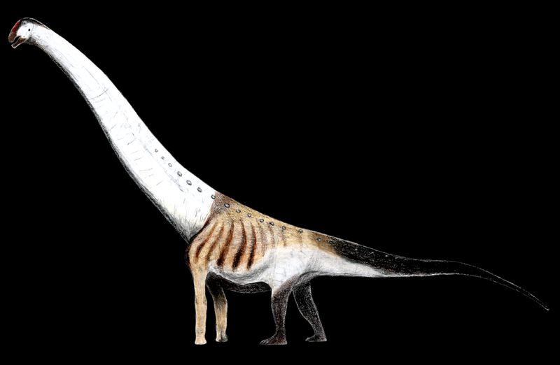 Aegyptosaurus — Autres saurischiens