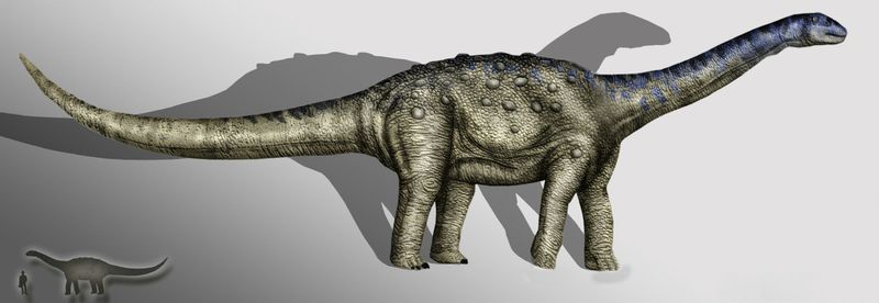 Aeolosaurus — Autres saurischiens