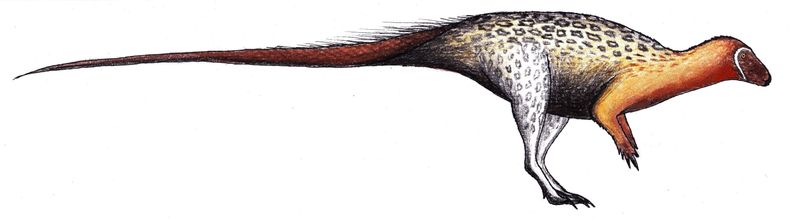 Agilisaurus — Autres ornithischiens