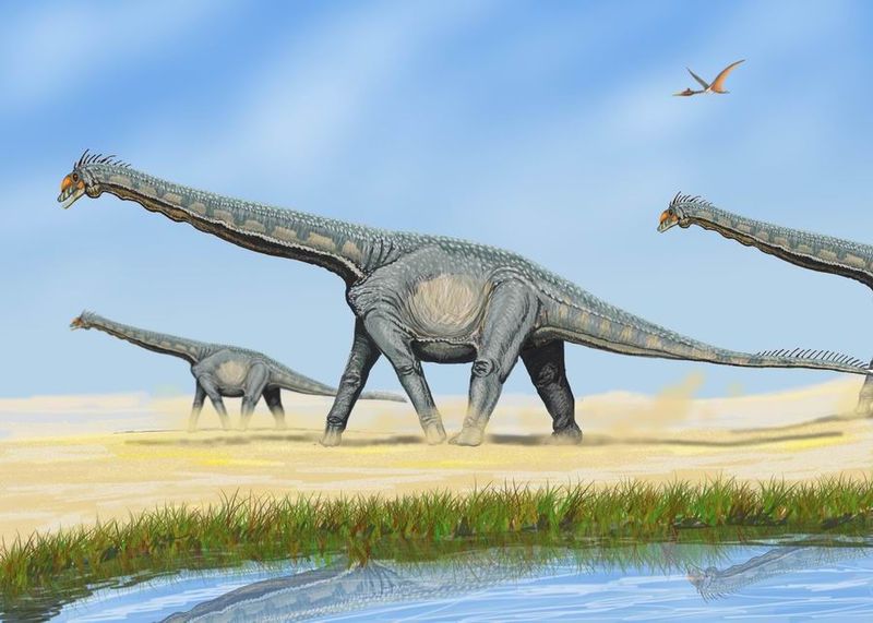 Alamosaurus — Autres saurischiens