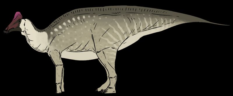 Amurosaurus — Autres ornithischiens