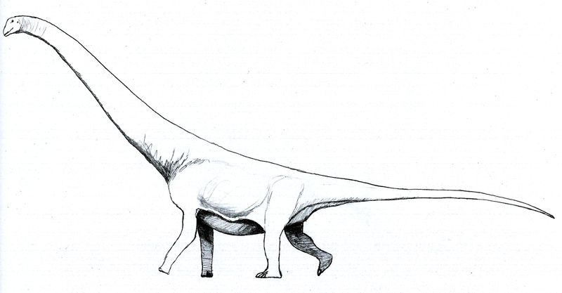Andesaurus — Autres saurischiens