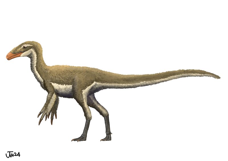 Aorun — Théropodes
