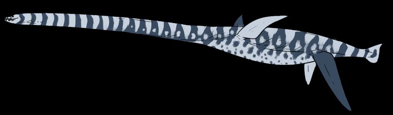 Aphrosaurus — Reptiles marins