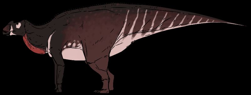 Aralosaurus — Autres ornithischiens