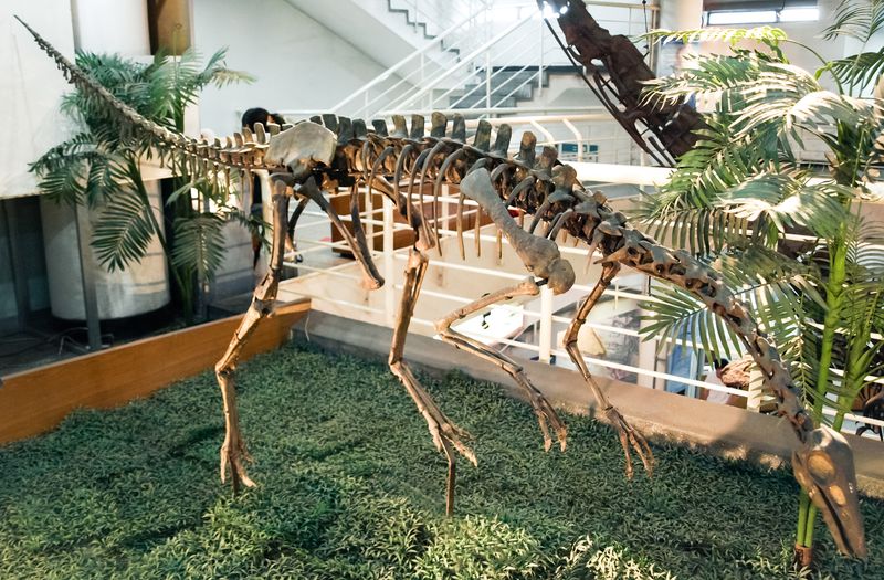 Archaeornithomimus — Théropodes