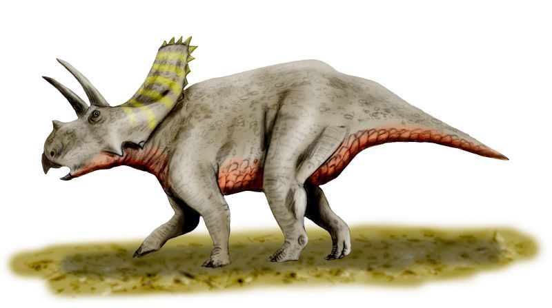 Arrhinoceratops — Autres ornithischiens