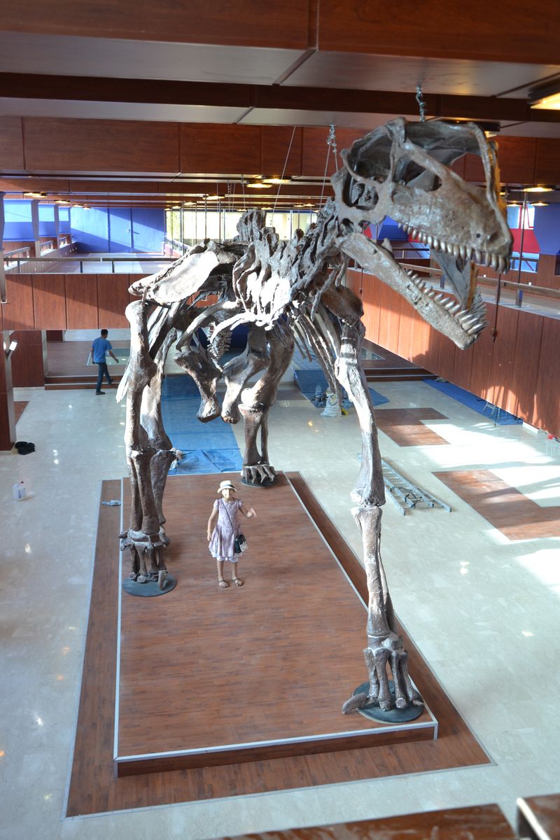 Atlasaurus — Autres saurischiens