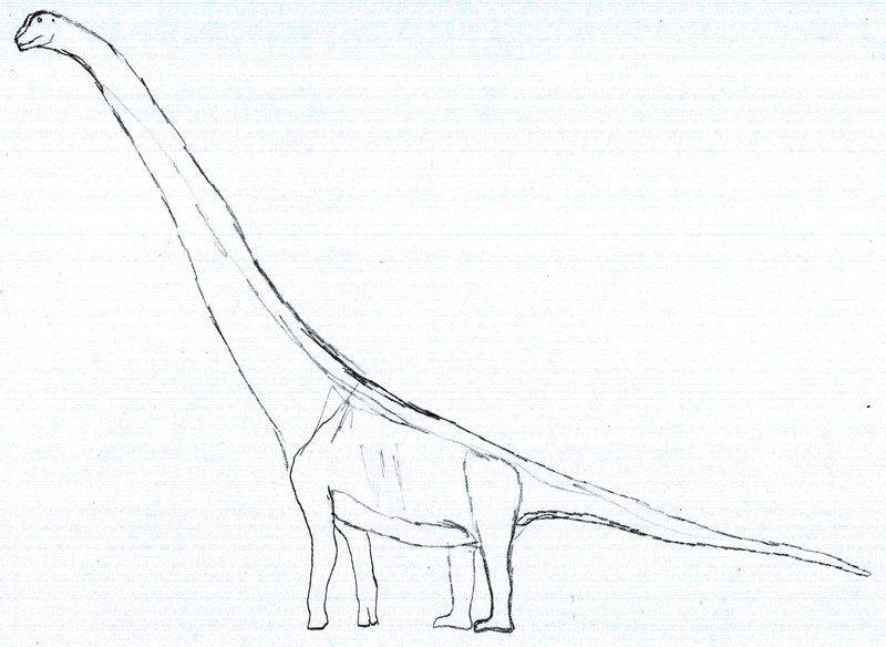 Austrosaurus — Autres saurischiens