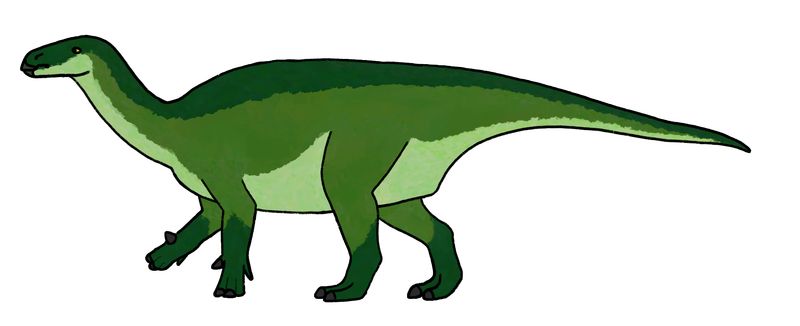 Bayannurosaurus — Autres ornithischiens