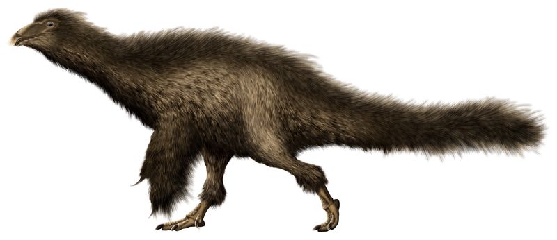 Beipiaosaurus — Théropodes