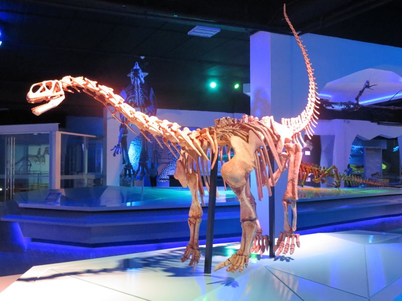 Bellusaurus — Autres saurischiens