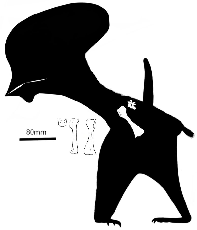 Bennettazhia — Ptérosaures