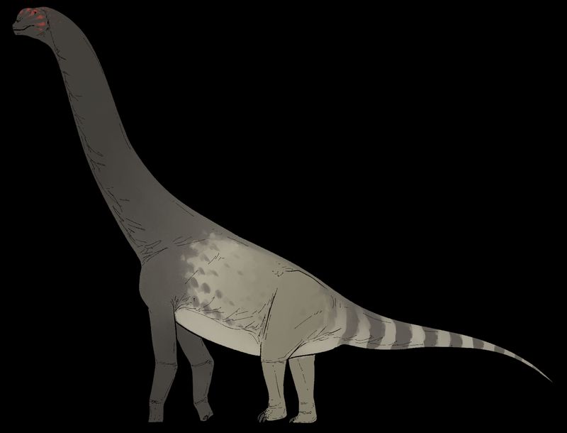 Bicharracosaurus dionidei — Autres saurischiens