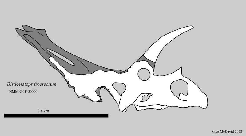 Bisticeratops — Autres ornithischiens