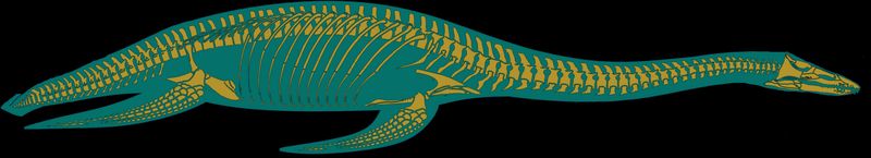 Brancasaurus — Reptiles marins