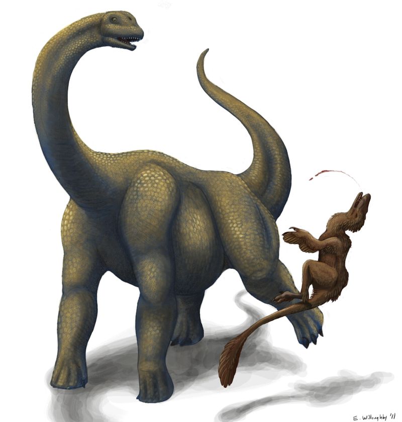 Brontomerus — Autres saurischiens