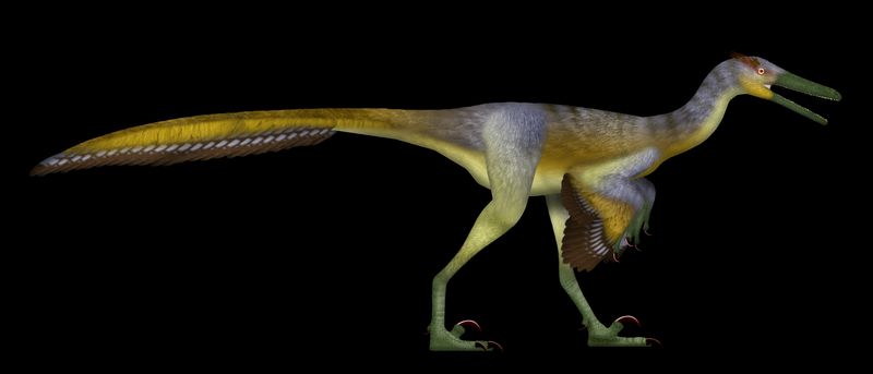 Buitreraptor — Théropodes