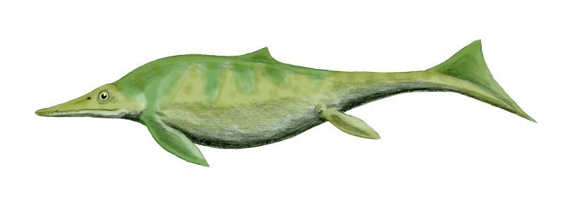 Californosaurus — Reptiles marins