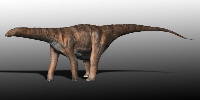 Cetiosaurus — Autres saurischiens