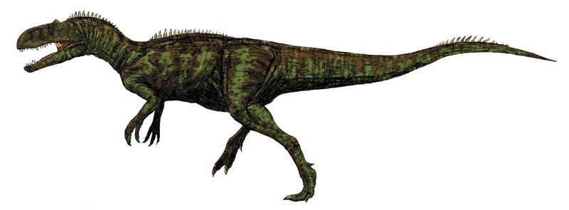Chilantaisaurus — Théropodes