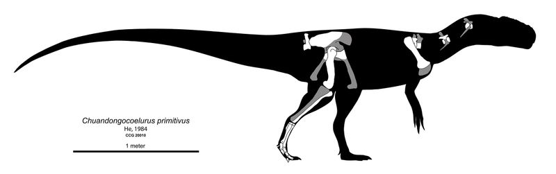 Chuandongocoelurus — Théropodes