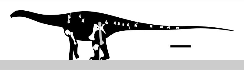 Comahuesaurus — Autres saurischiens