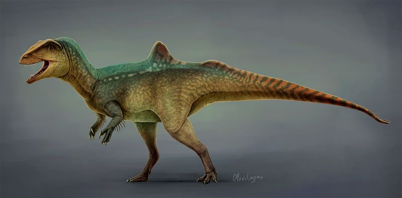 Concavenator — Théropodes
