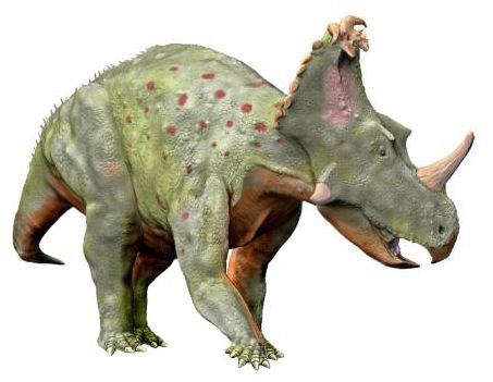 Coronosaurus — Autres ornithischiens