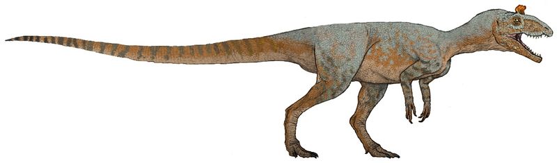 Cryolophosaurus ellioti — Théropodes