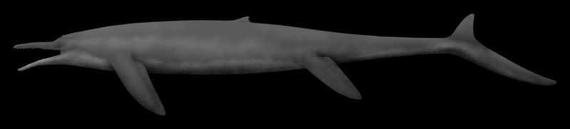 Cymbospondylus — Reptiles marins