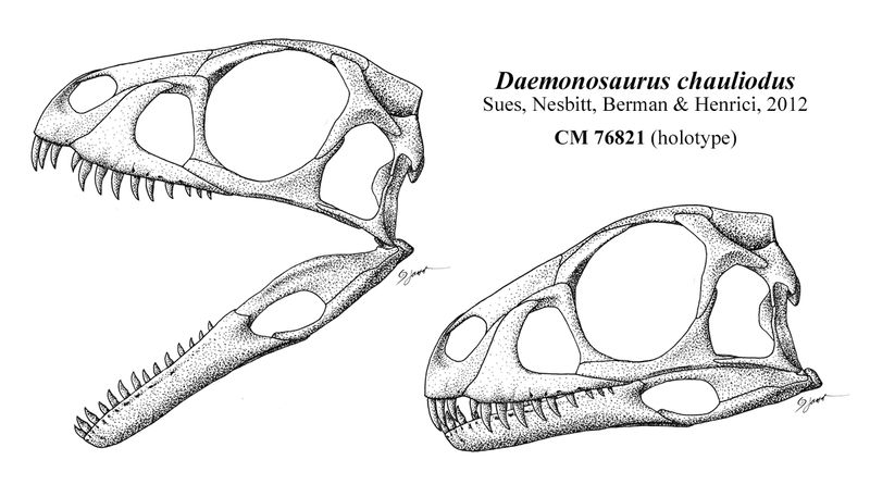 Daemonosaurus — Autres saurischiens