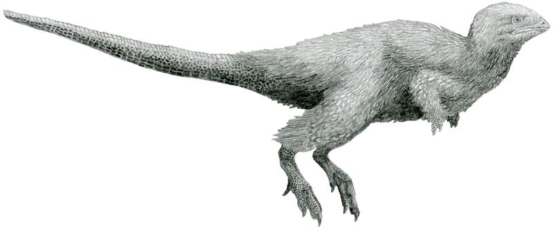 Kulindadromeus — Autres ornithischiens