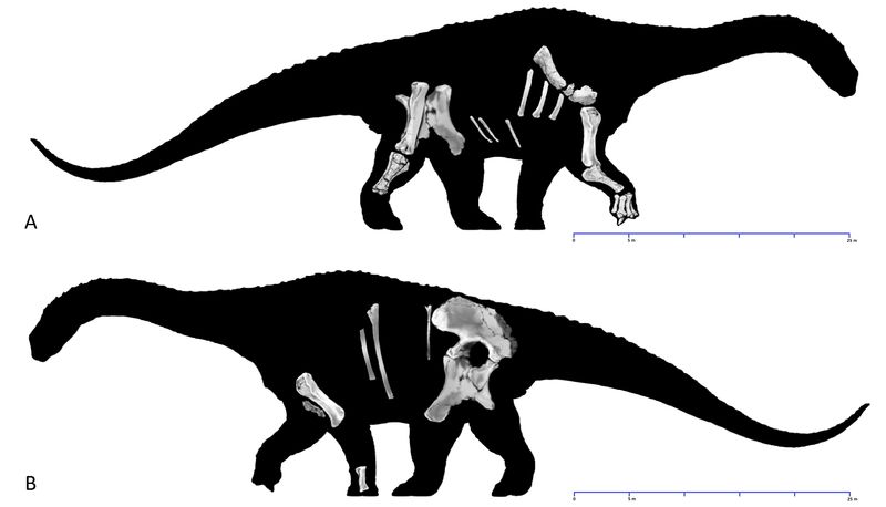 Diamantinasaurus — Autres saurischiens