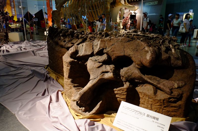 Dongyangosaurus — Autres saurischiens