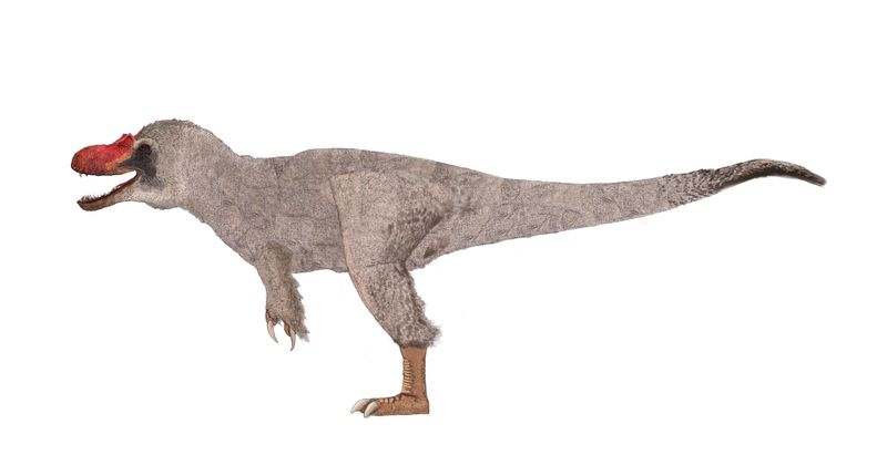 Dryptosaurus — Théropodes