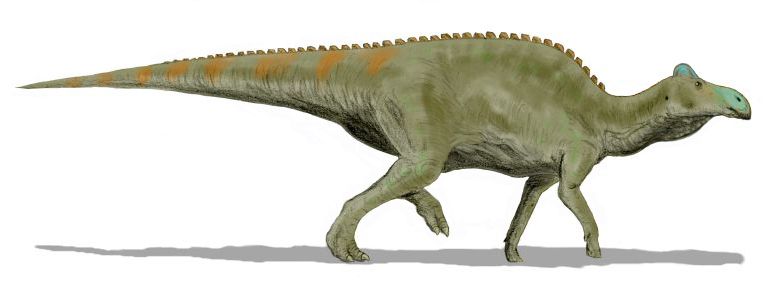 Edmontosaurus — Autres ornithischiens