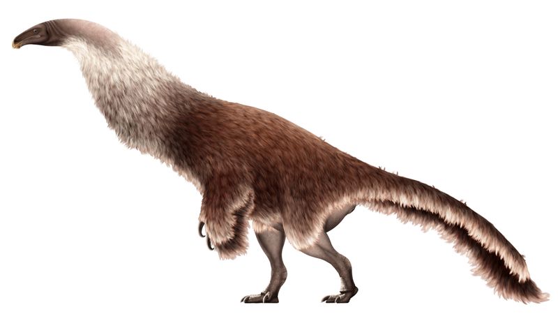 Enigmosaurus — Théropodes