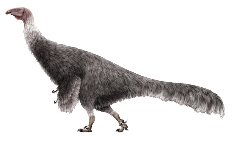 Erlikosaurus — Théropodes