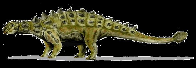 Euoplocephalus — Autres ornithischiens