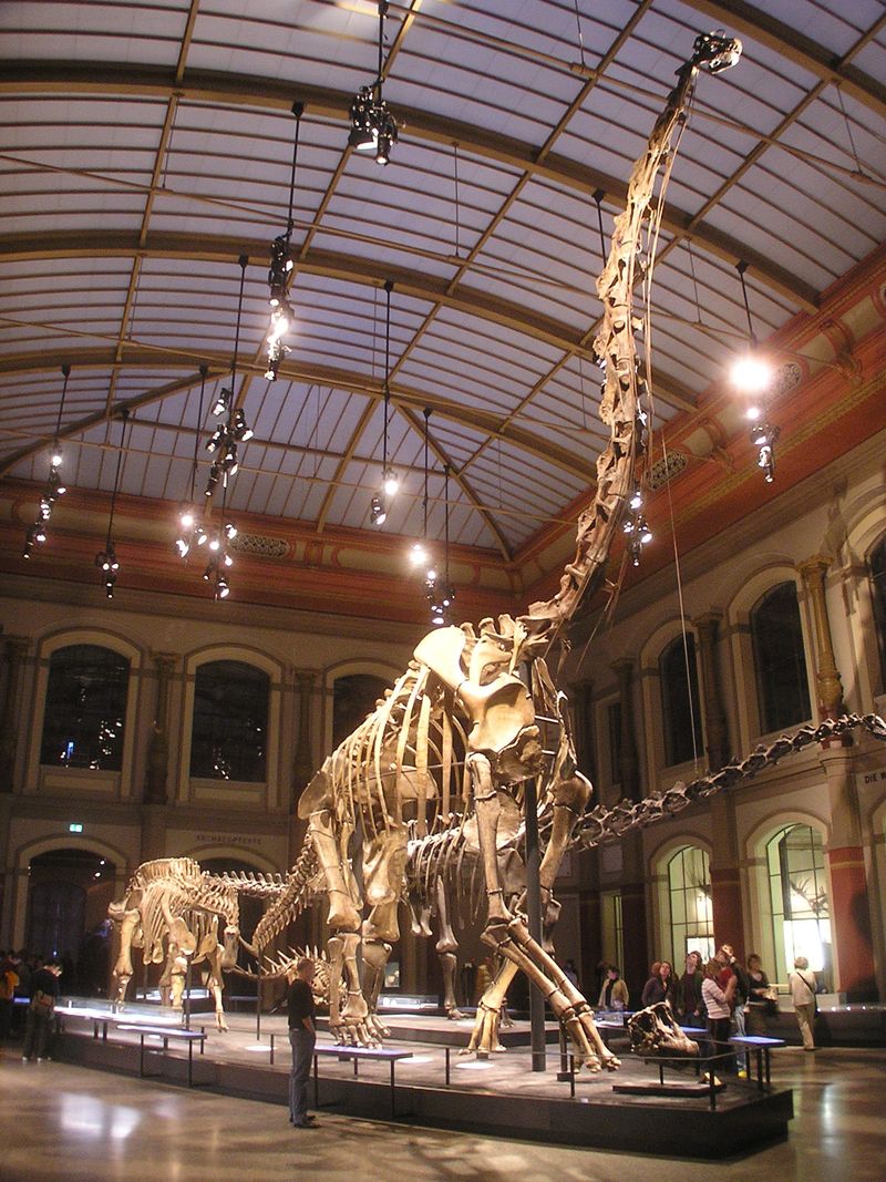 Giraffatitan — Autres saurischiens