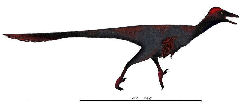 Gobivenator — Théropodes